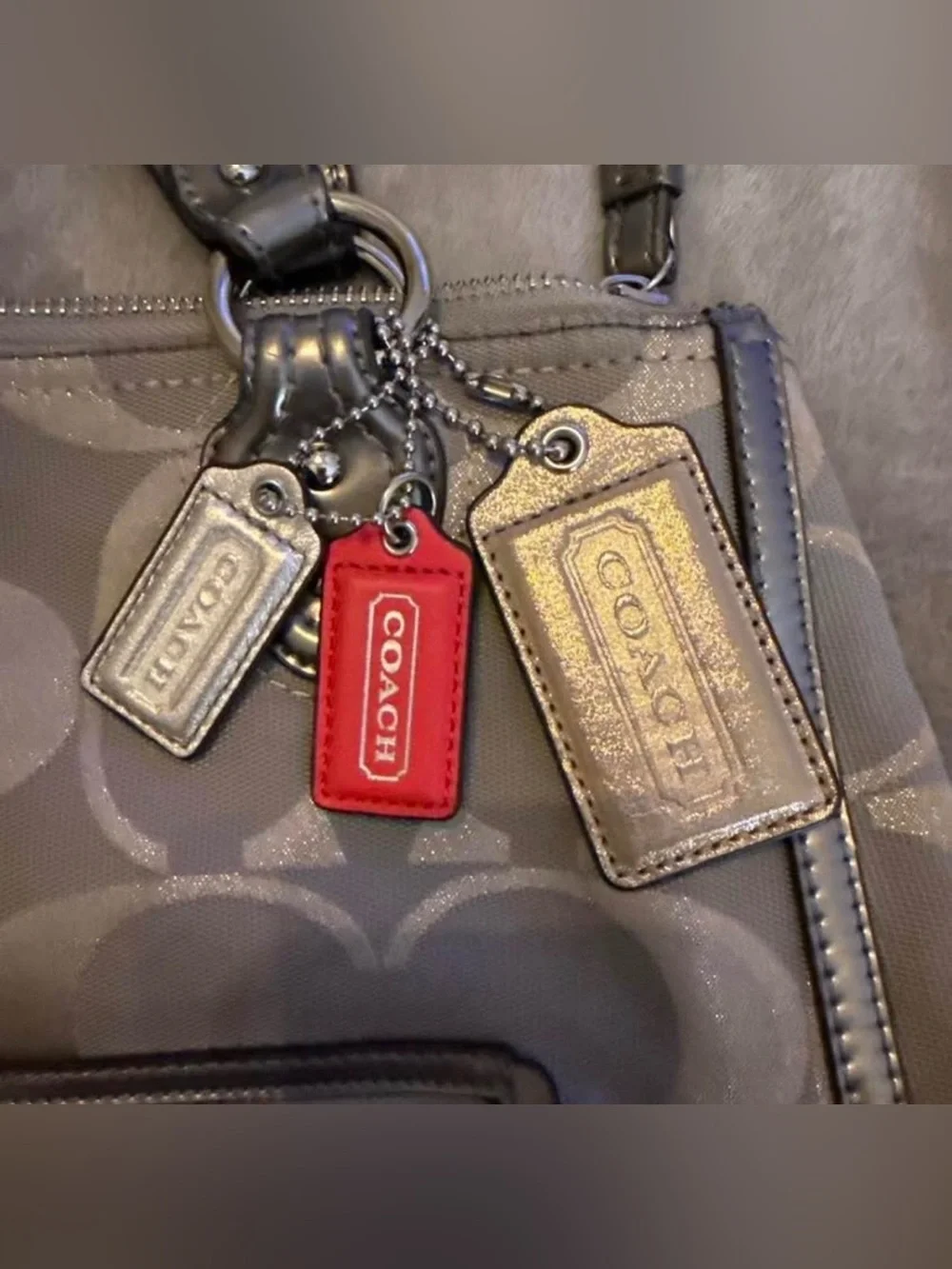 Coach Poppy Signature Metallic Tote Bag